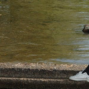 Meet your Posher, Sam